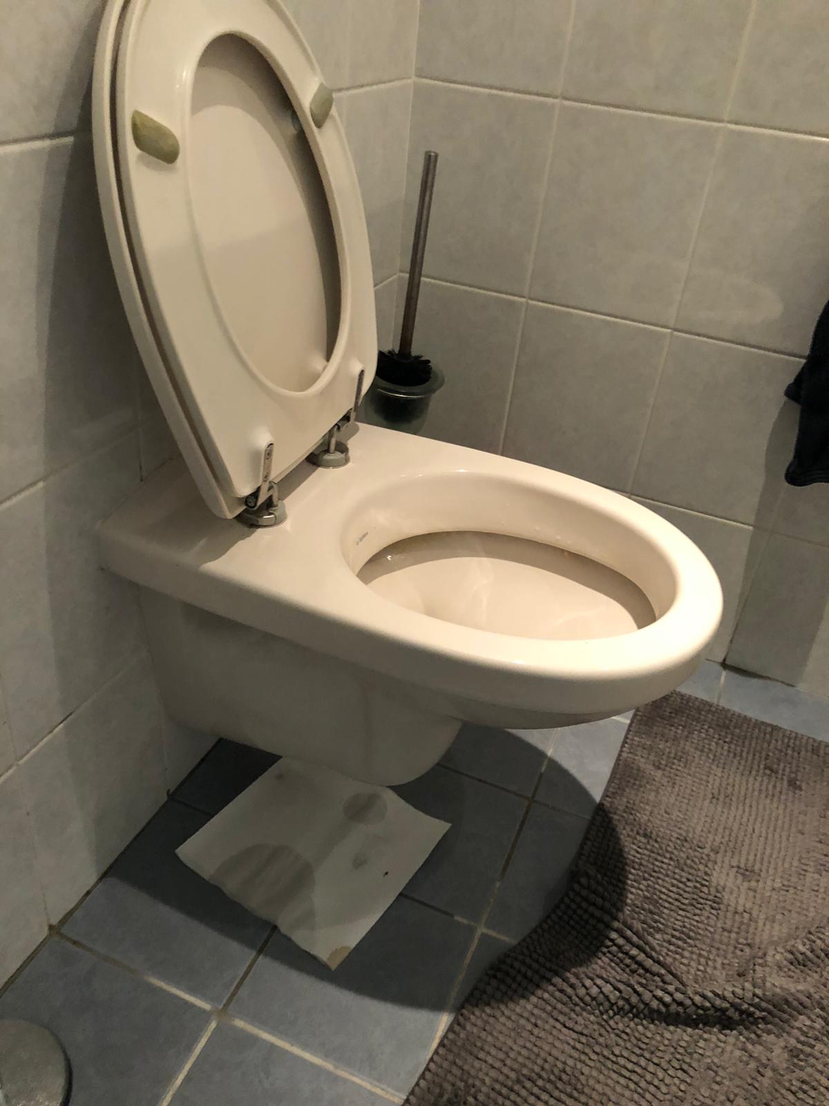 hangtoilet Zwijndrecht